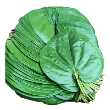 Pan Pata - Betel Leaves